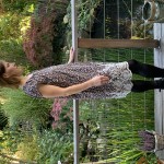 2022 Leyla kleid Bluse