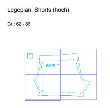 Leni Shorts (hoch)