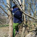 7504 gemütliche Hose Hans