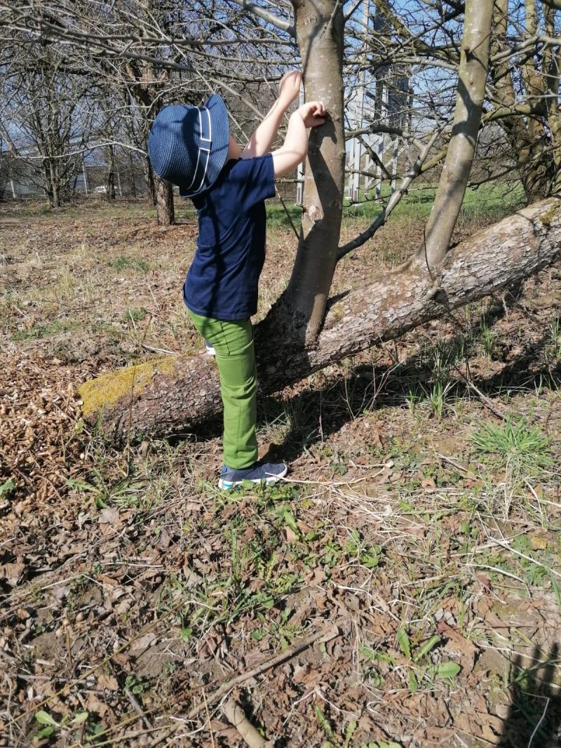 7504 gemütliche Hose Hans