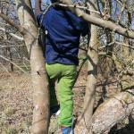 7504 gemütliche Hose Hans